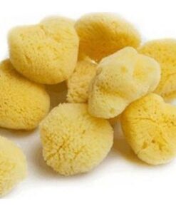 Ελληνικό Φυσικό Σφουγγάρι Pùpulo