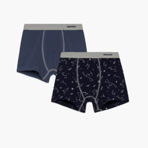 Μπόξερ Αγόρι