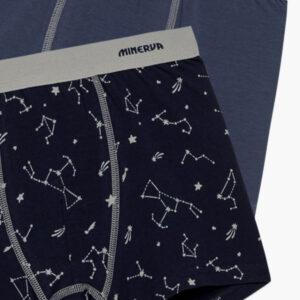 Μπόξερ Αγόρι