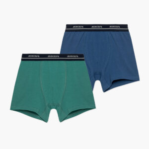 Μπόξερ Αγόρι