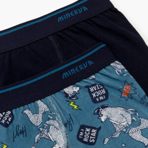 Παιδικό Μπόξερ