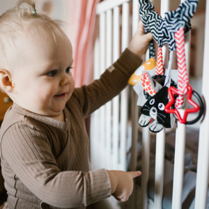 Κρεμαστό Παιχνίδι Δραστηριοτήτων