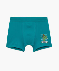 Μπόξερ Αγόρι