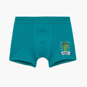 Μπόξερ Αγόρι