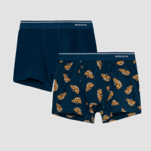 Μπόξερ Αγόρι