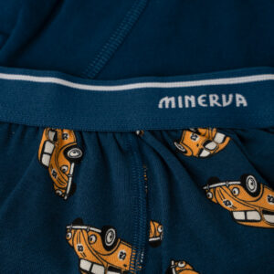 Μπόξερ Αγόρι