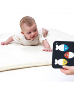 Βρεφικές Κάρτες Υψηλής Αντίθεσης